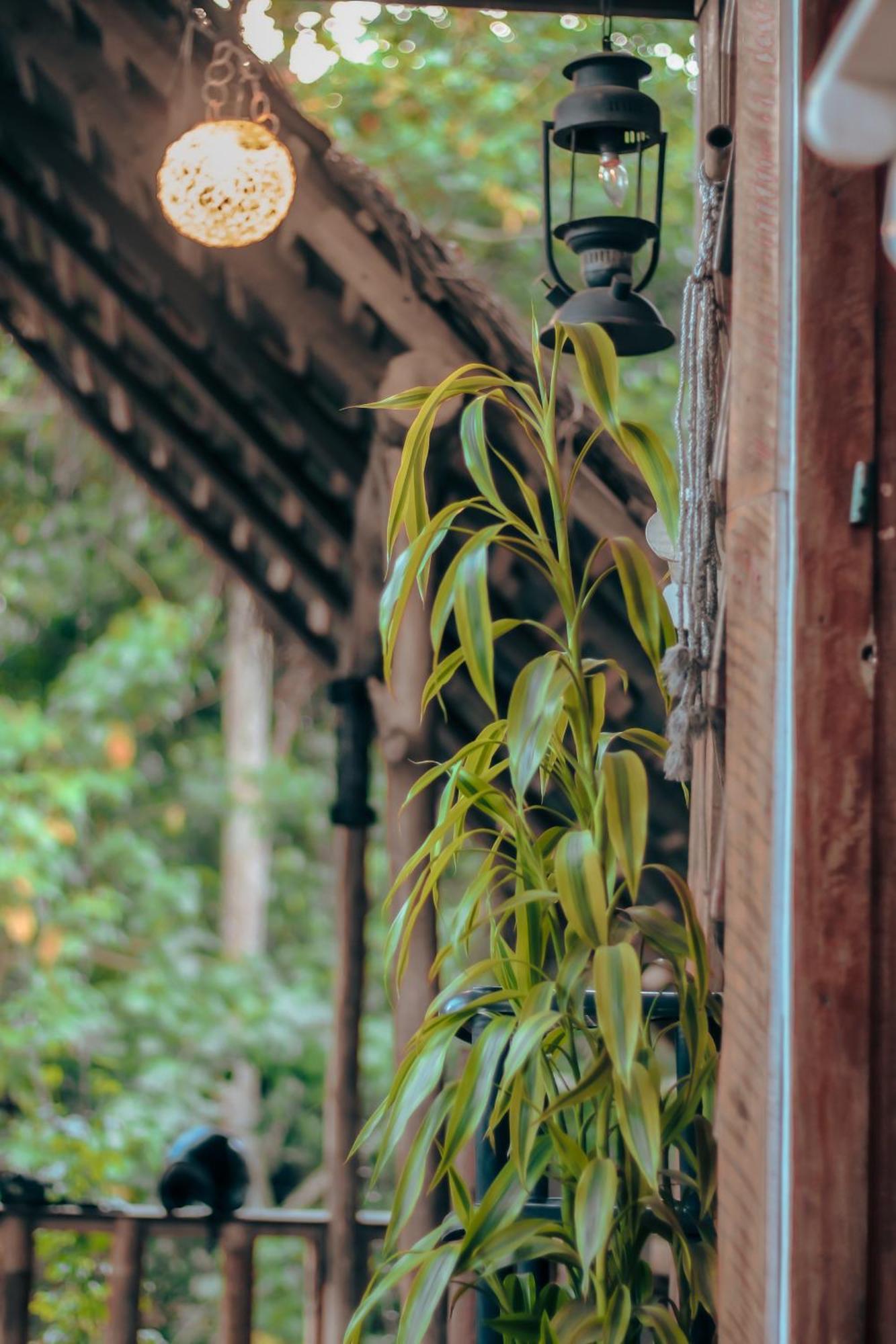 Hostal Tree House Ella Exterior foto